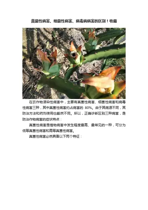 真菌性病害、细菌性病害、病毒病病害的区别！收藏