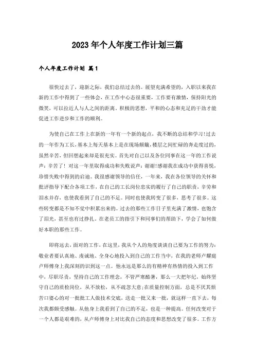 2023年个人年度工作计划三篇_6