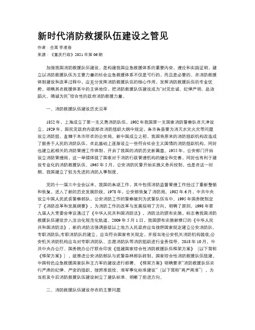 新时代消防救援队伍建设之管见