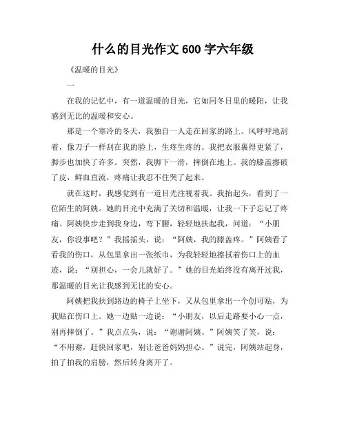 什么的目光作文600字六年级