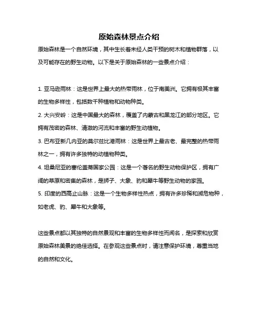 原始森林景点介绍