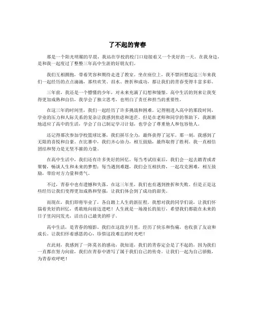 了不起的青春