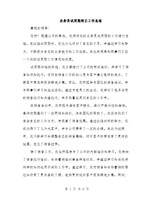 业务员试用期转正工作总结(3篇)