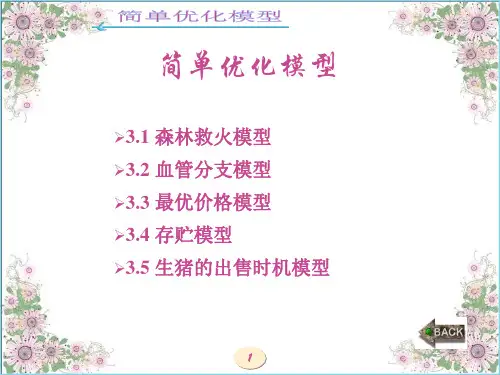 数学建模简明教程课件：简单优化模型