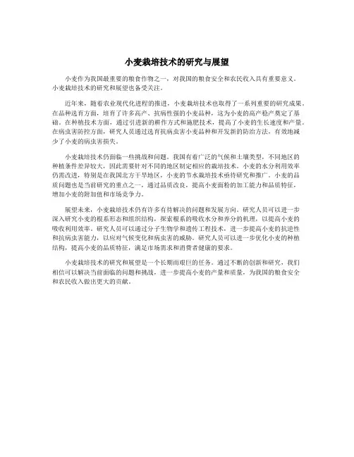 小麦栽培技术的研究与展望