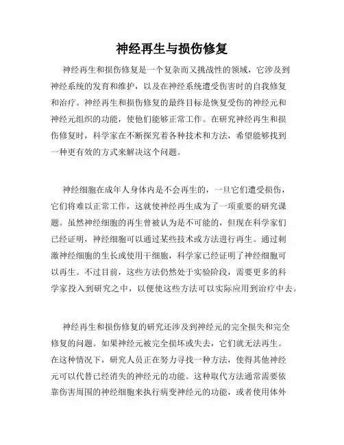 神经再生与损伤修复