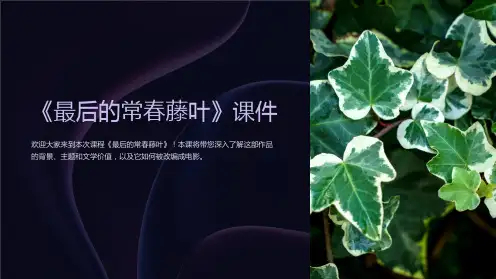 《最后的常春藤叶》课件