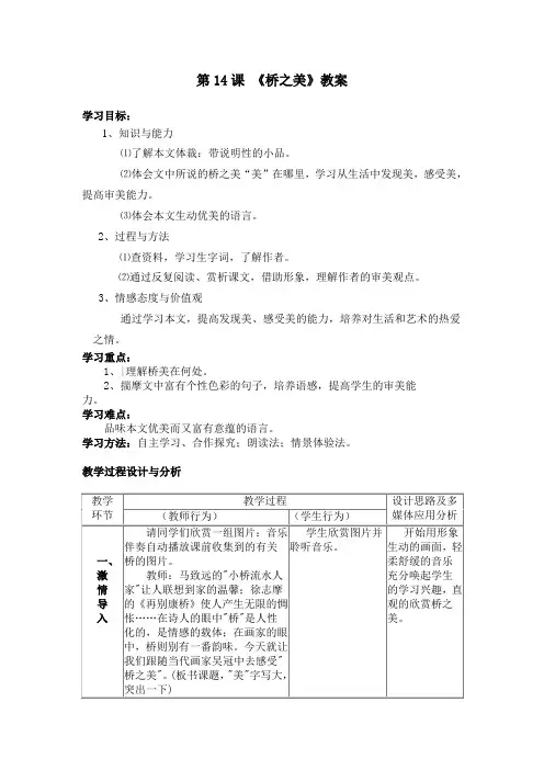 《桥之美》教案