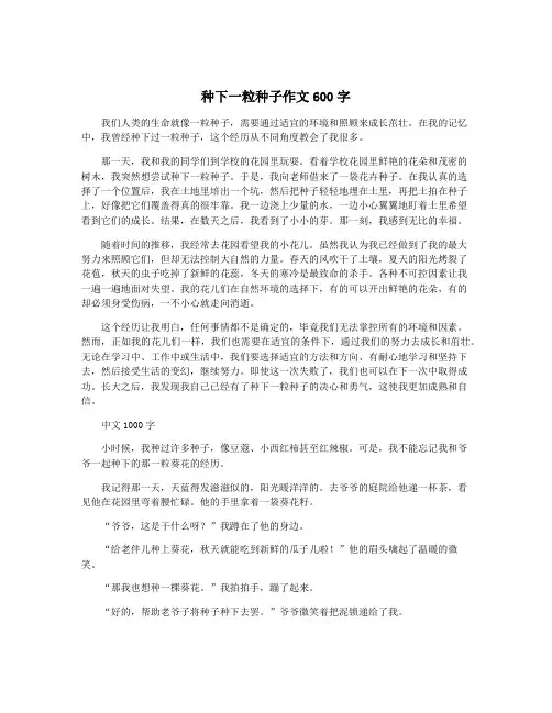 种下一粒种子作文600字