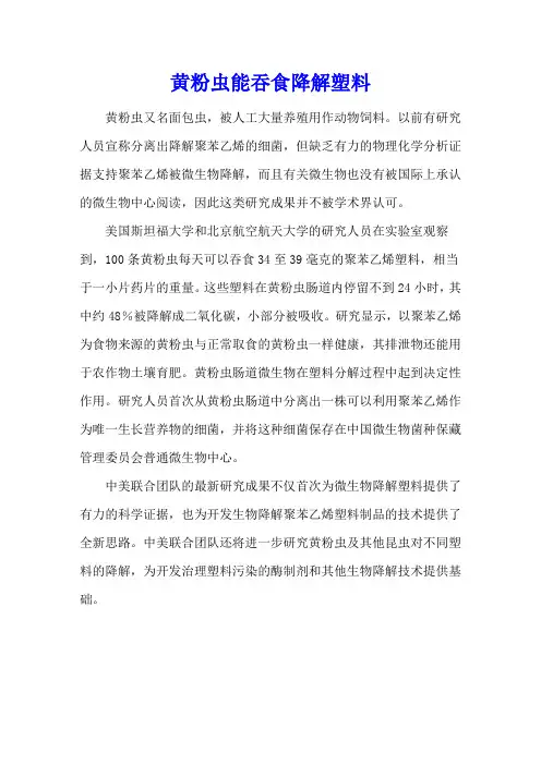 黄粉虫能吞食降解塑料