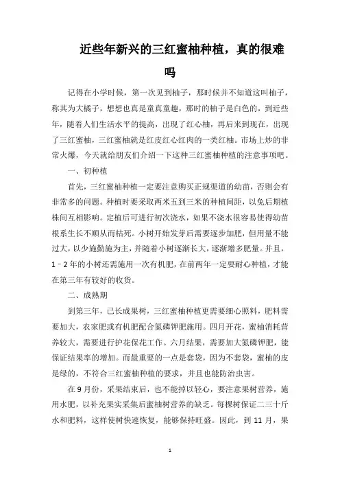 近些年新兴的三红蜜柚种植,真的很难吗
