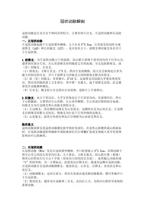 冠状动脉解剖