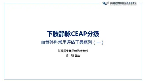 下肢静脉CEAP分级