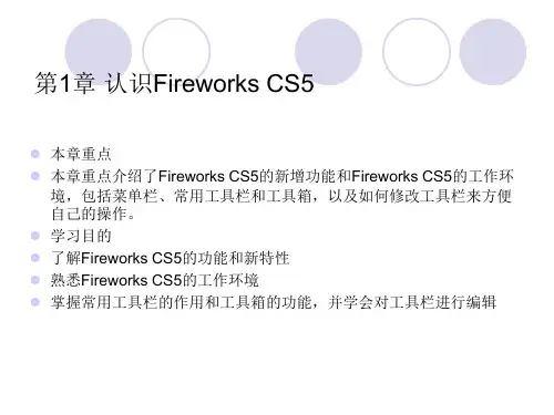 fireworks教案课件第1章