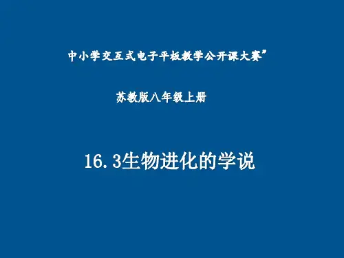 苏教版生物八上16.3 生物进化的学说 课件(共25张PPT)