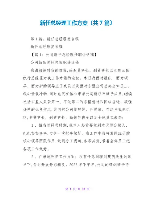 新任总经理工作计划(共7篇)