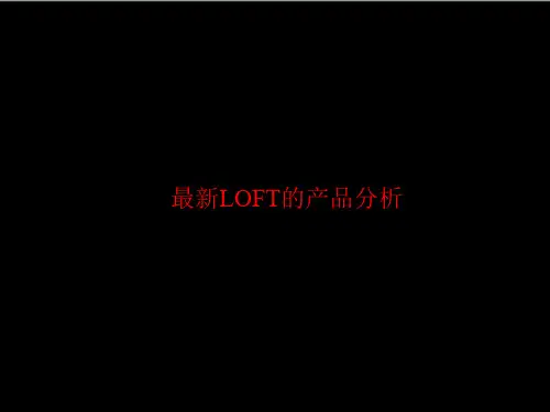 最新LOFT的产品分析(PPT55页)