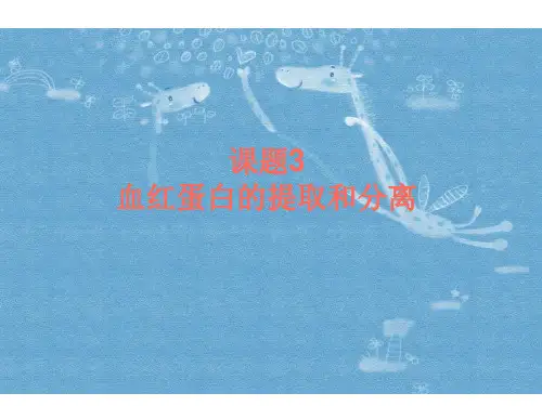 生物：5.3《血红蛋白的提取和分离》课件(新人教版选修1)