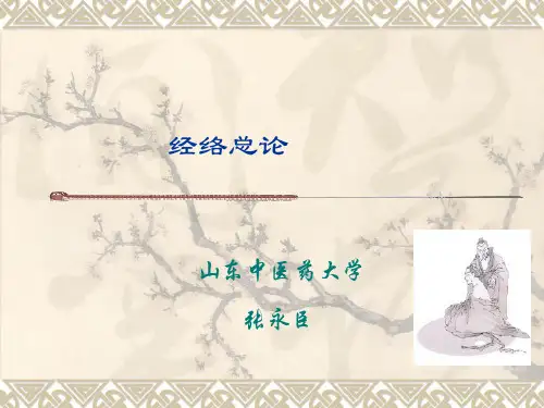 2经络总论详解