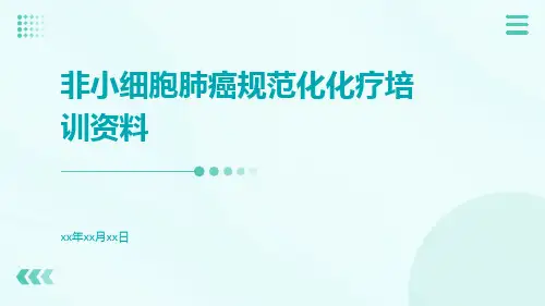 非小细胞肺癌规范化化疗培训资料
