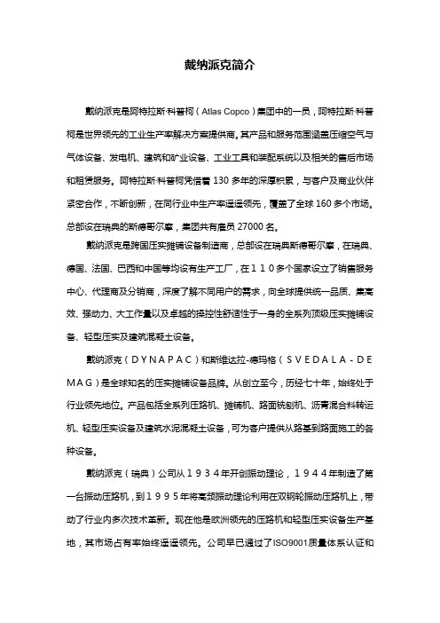戴纳派克公司介绍