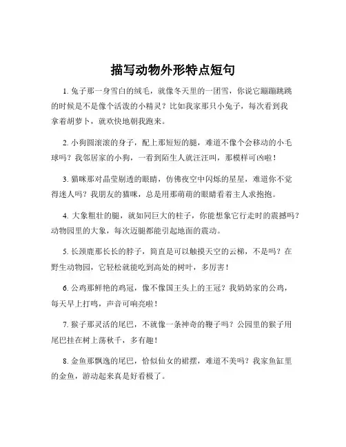 描写动物外形特点短句