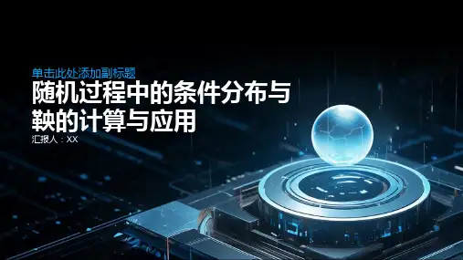随机过程中的条件分布与鞅的计算与应用