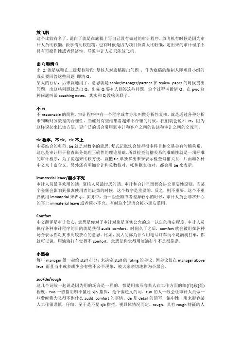 审计中的“黑话”