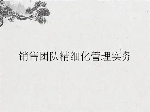 销售团队精细化管理实务