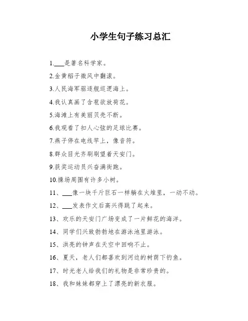 小学生句子练习总汇