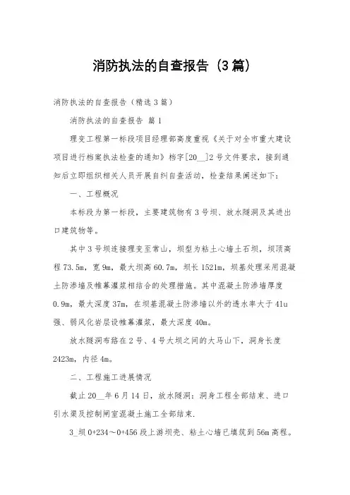 消防执法的自查报告(3篇)