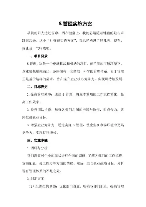S管理实施方案