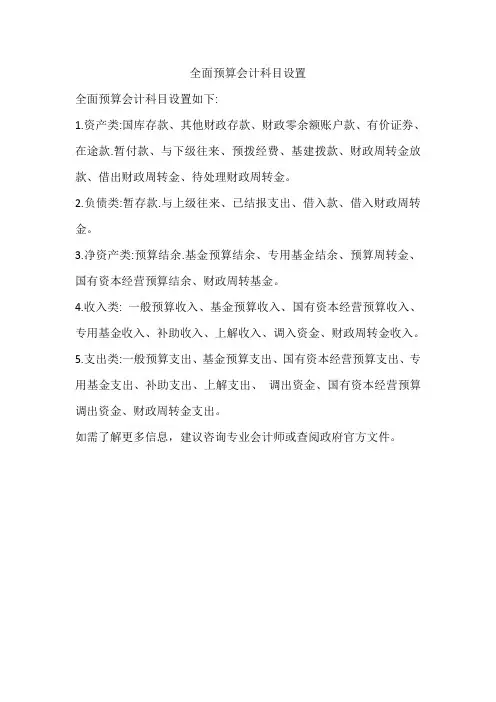 全面预算会计科目设置