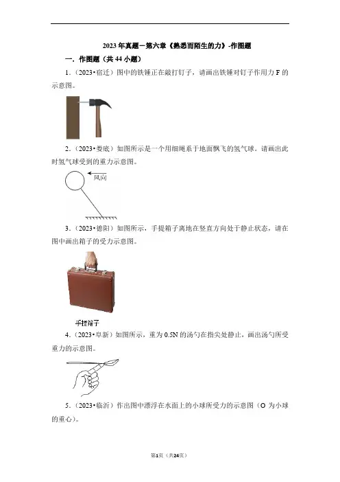 2023年真题-第六章《熟悉而陌生的力》-作图题