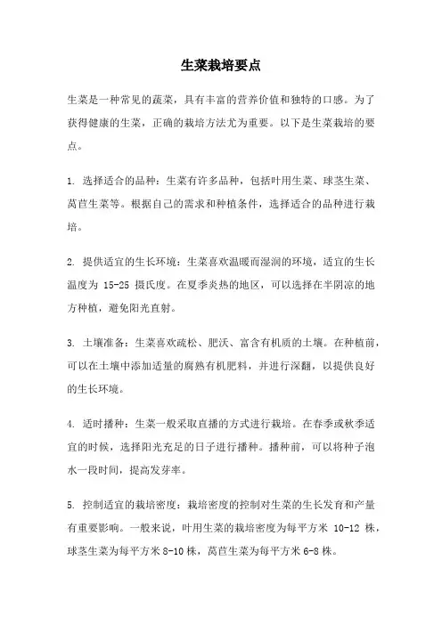 生菜栽培要点