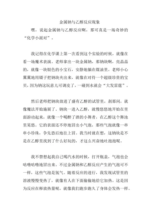 金属钠与乙醇反应现象