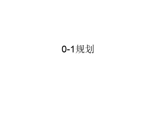 0-1规划