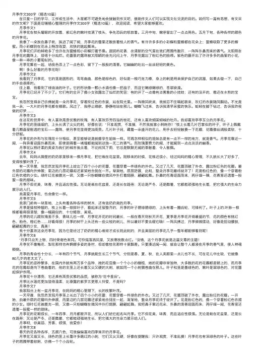 月季作文300字（精选10篇）