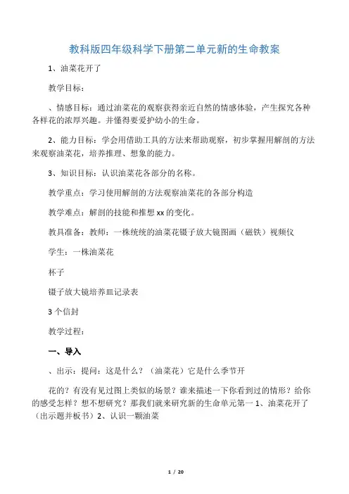 教科版四年级科学下册第二单元 新的生命教案