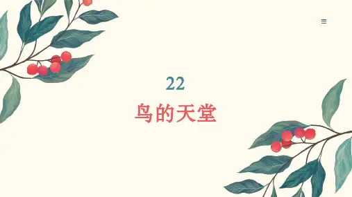 鸟的天堂ppt课件