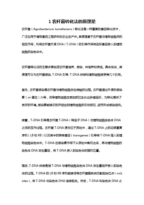 1农杆菌转化法的原理是