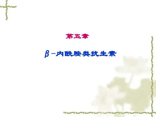第五章内酰胺类抗生素