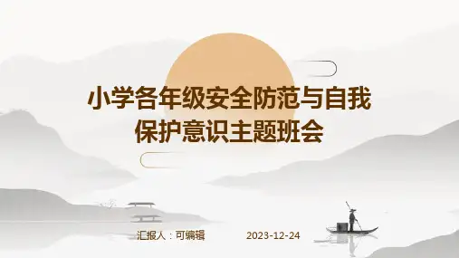 小学各年级, 安全防范,我们的自我保护意识,主题班会ppt