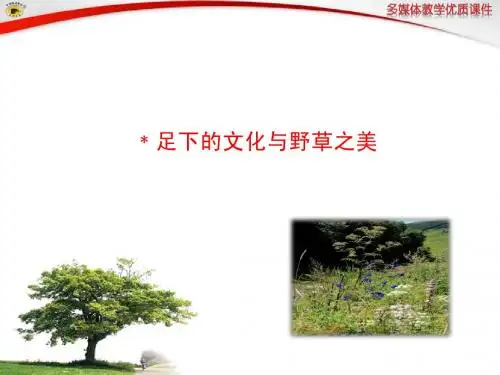 ﹡足下的文化与野草之美