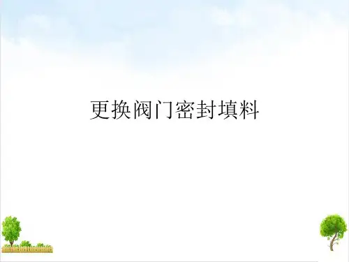 更换阀门密封填料课件PPT
