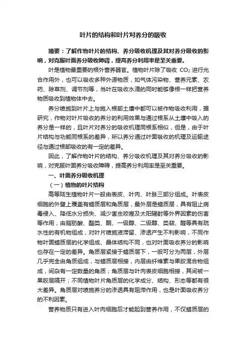 叶片的结构和叶片对养分的吸收