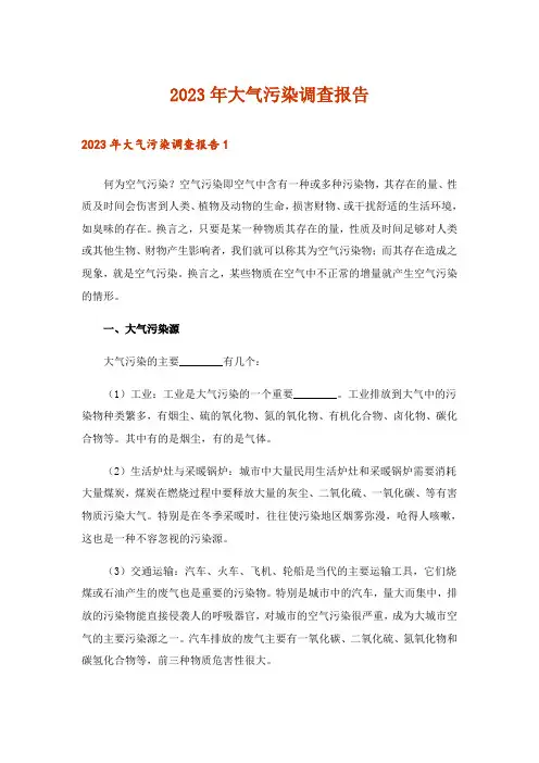 2023年大气污染调查报告_5