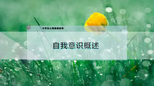 自我意识概述