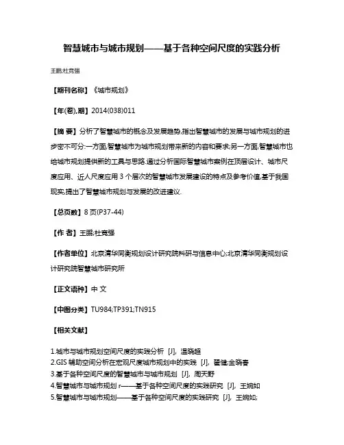 智慧城市与城市规划——基于各种空间尺度的实践分析