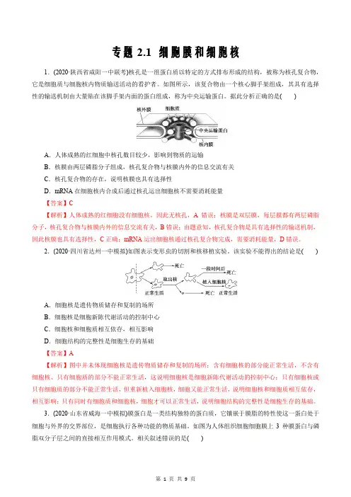 2021届新高考生物复习学与练2.1 细胞膜和细胞核(能力练解析版)